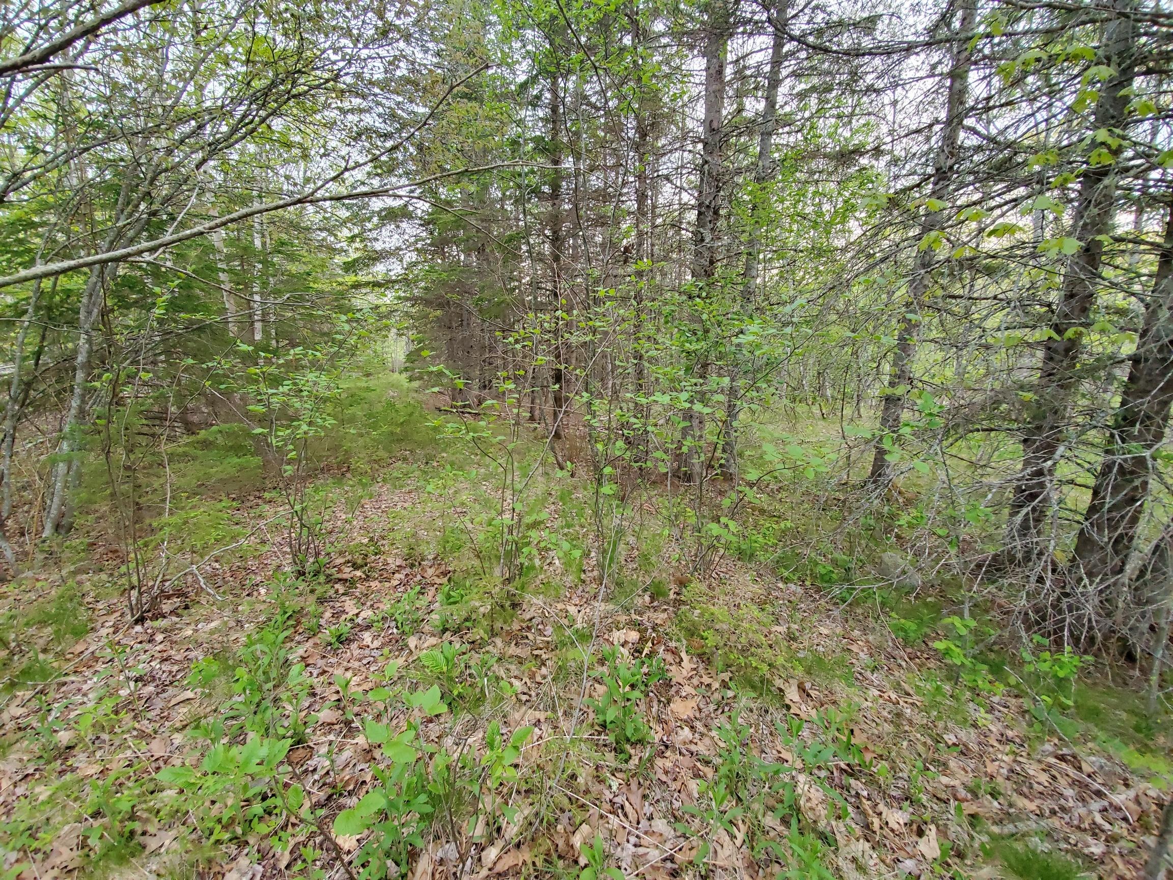 2 Robbins Point Road Gouldsboro, ME 04607 - Photo 11 of 31 interior