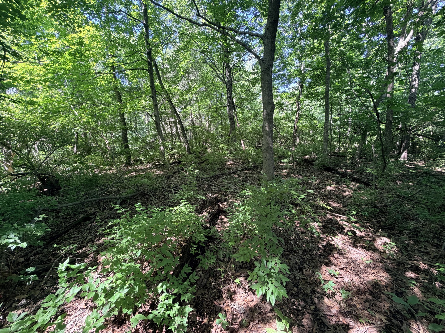 0 East 25th Road Marseilles, IL 61341 - Photo 21 of 30