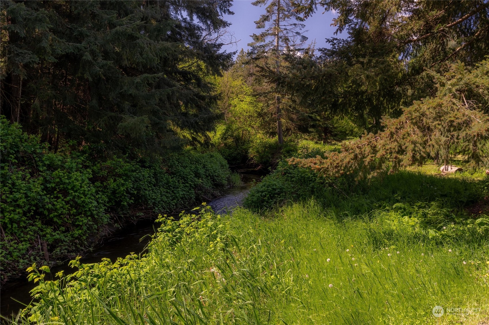 5805 Lawrence Road Everson, WA 98247 - Photo 12 of 35 a view of a garden