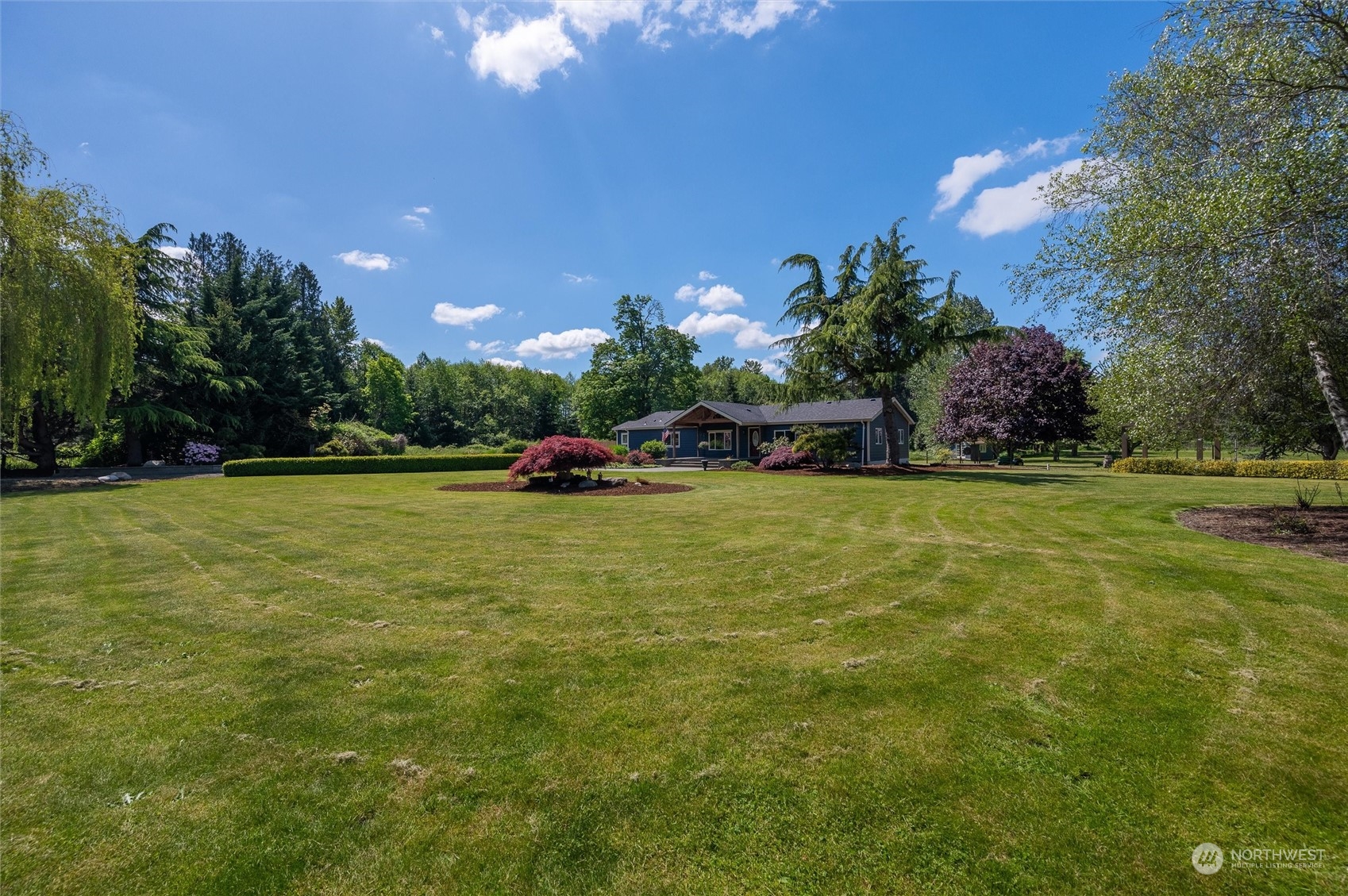 5805 Lawrence Road Everson, WA 98247 - Photo 5 of 35 a view of a green field with some trees in the background