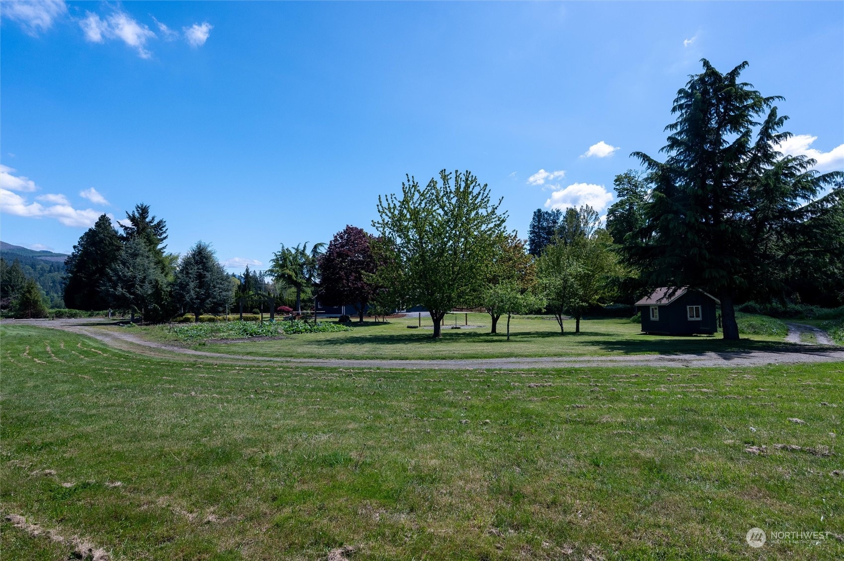 5805 Lawrence Road Everson, WA 98247 - Photo 8 of 35 a view of a grassy field with trees