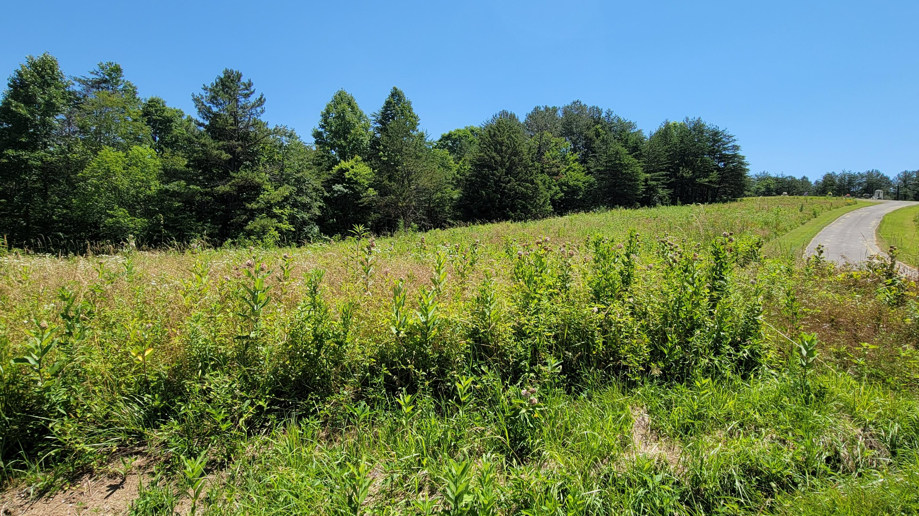 3801 Hazel Patch Road East Bernstadt, KY 40729 - Photo 3 of 4 Elk mtn tr 7 3