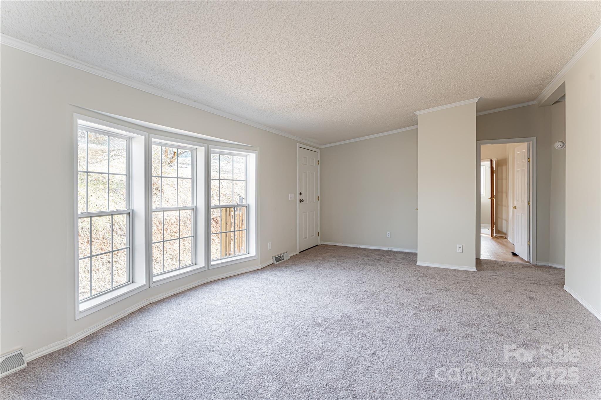 107 Cole Road Leicester, NC 28748 - Photo 2 of 32 Gallery Image 2