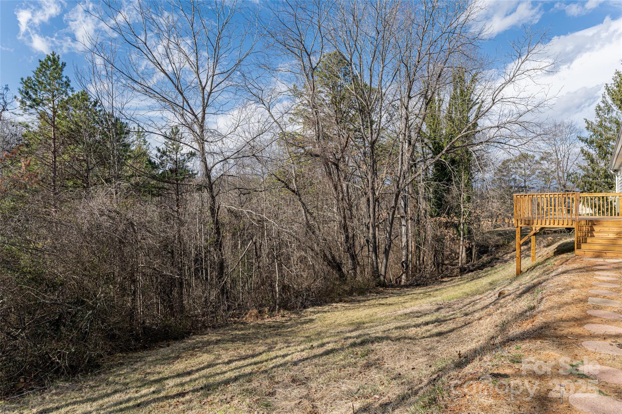 107 Cole Road Leicester, NC 28748 - Photo 26 of 32 Gallery Image 26