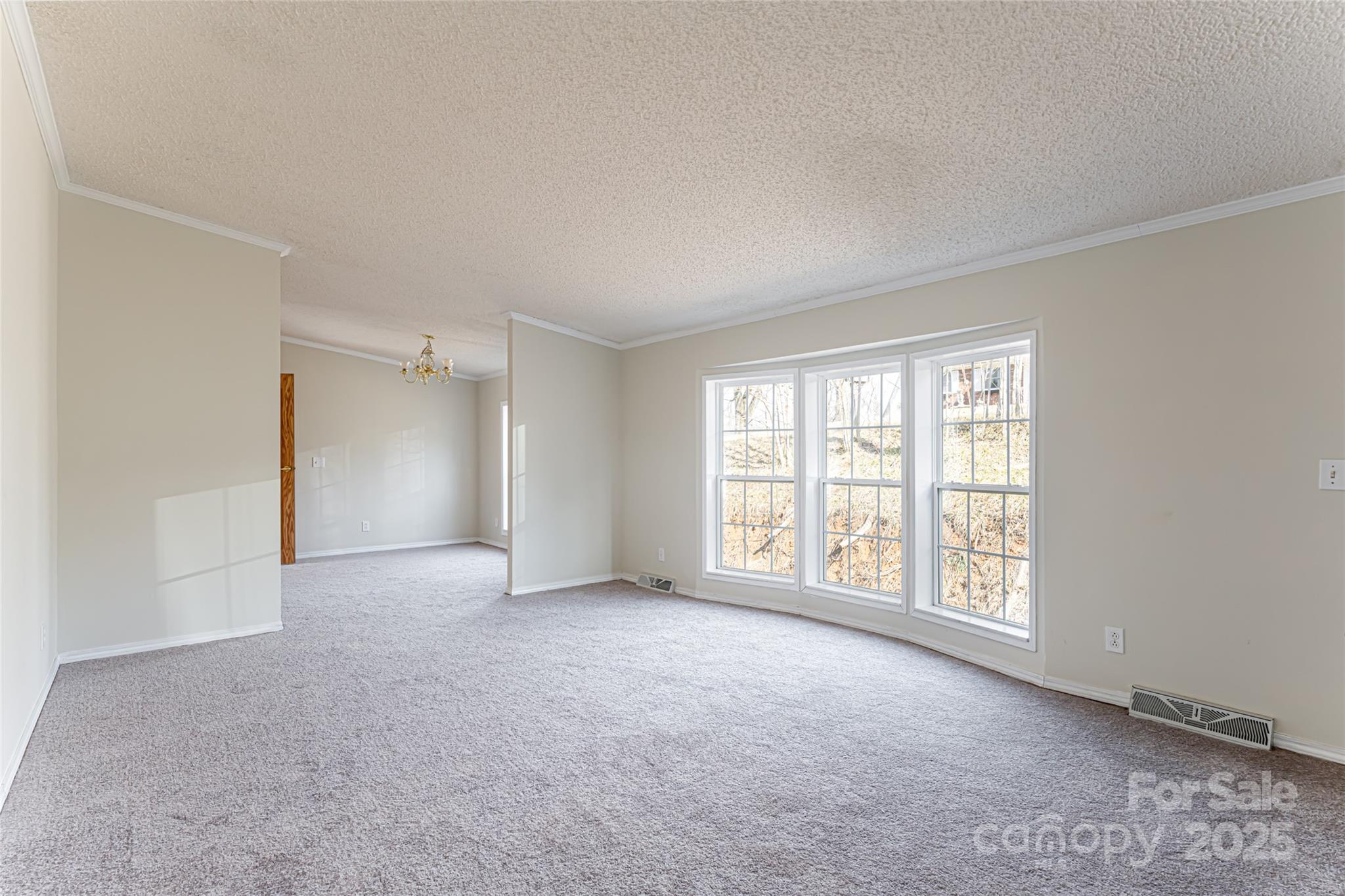 107 Cole Road Leicester, NC 28748 - Photo 4 of 32 Gallery Image 4
