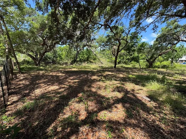 a view of dirt yard with a tree