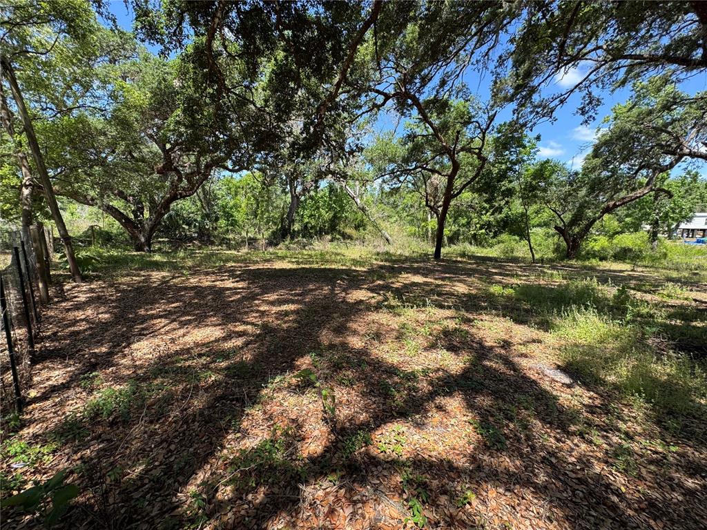 Turtle Street Dade City, FL 33523 - Photo 1 of 8 a view of dirt yard with a tree