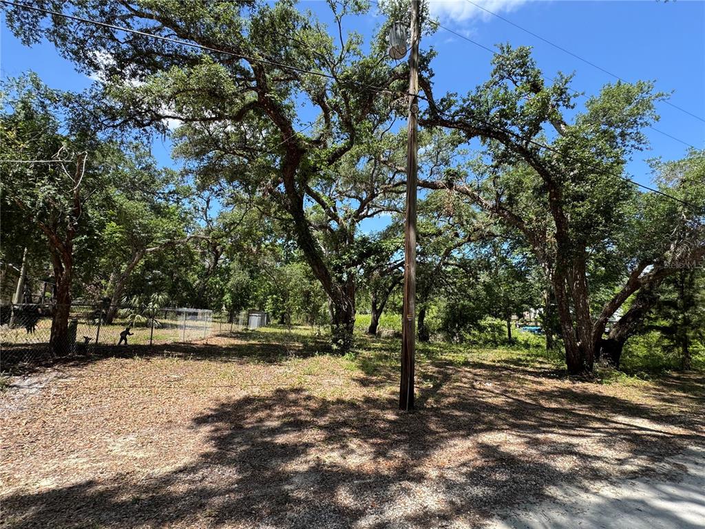 Turtle Street Dade City, FL 33523 - Photo 4 of 8 a view of dirt yard with a tree