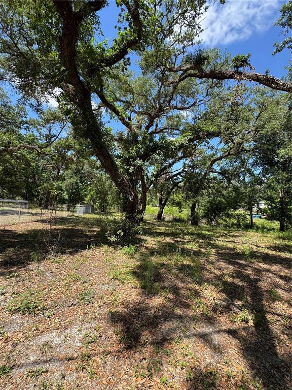 Turtle Street Dade City, FL 33523 - Photo 5 of 8 a view of lake with tree