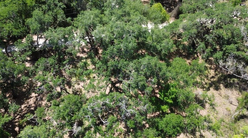 Turtle Street Dade City, FL 33523 - Photo 6 of 8 an aerial view of residential house with outdoor space and trees all around