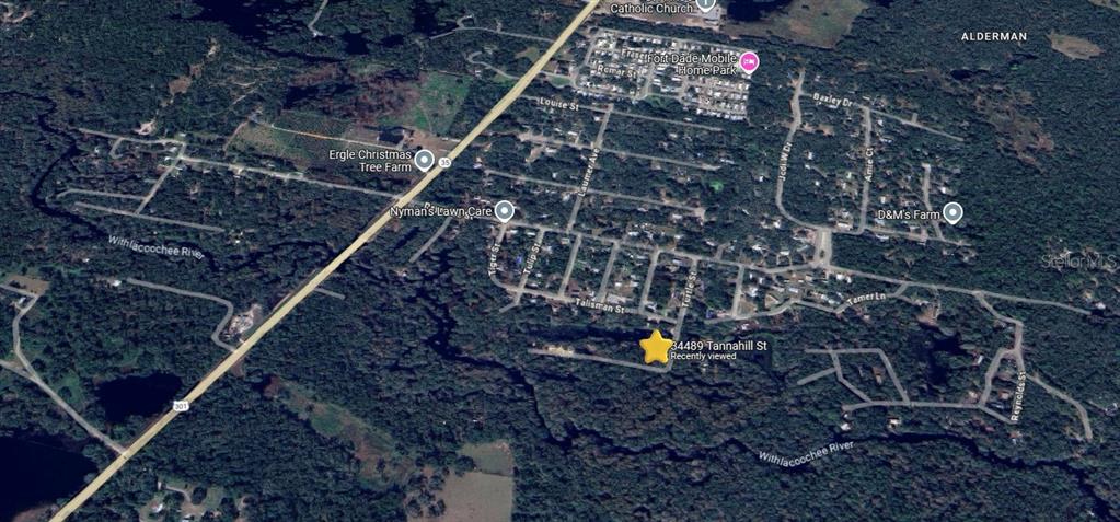 Turtle Street Dade City, FL 33523 - Photo 8 of 8 a bird view of a house