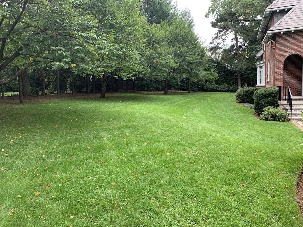348 Buckminster Road Brookline, MA 02445 - Photo 20 of 24