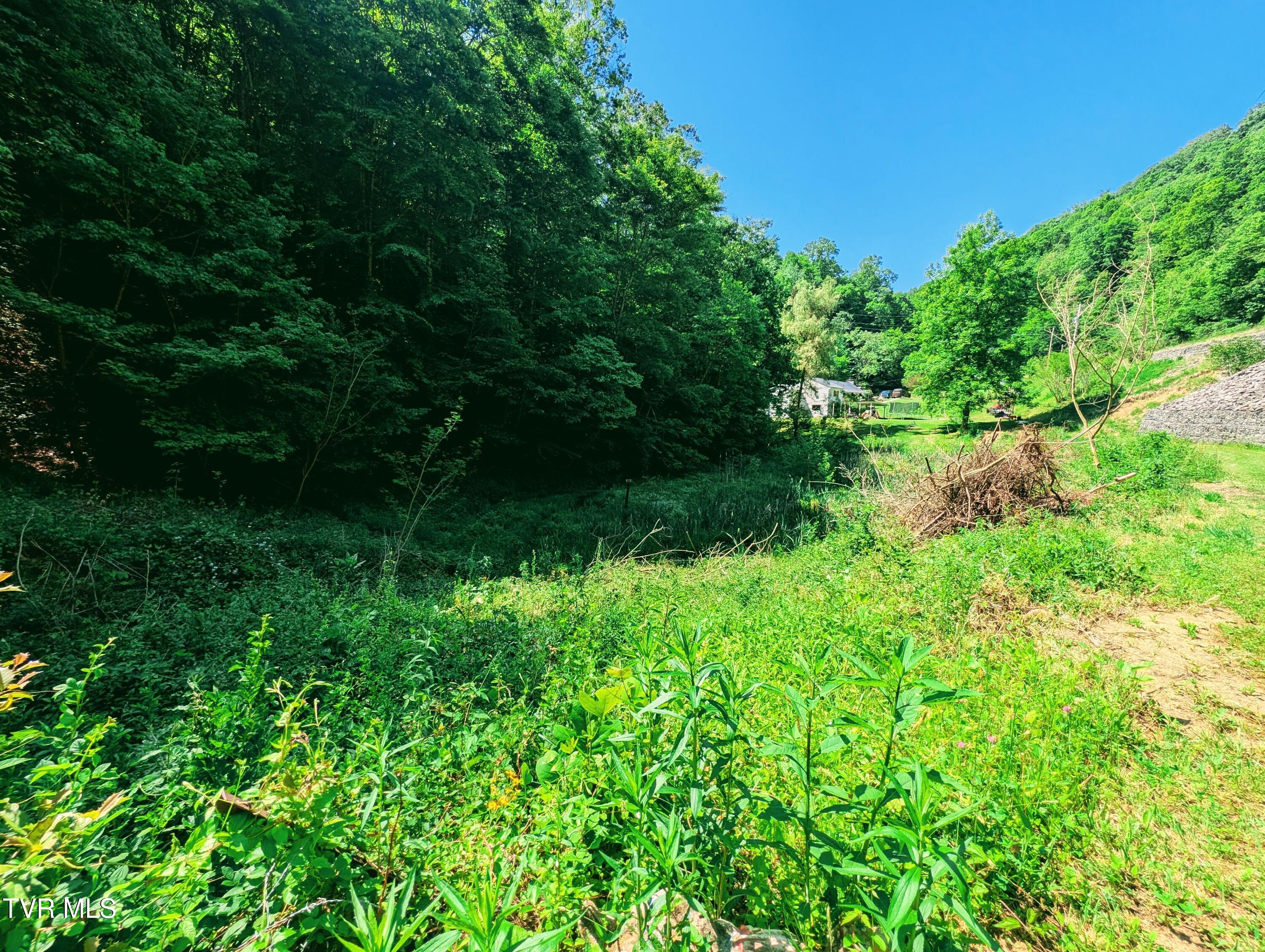 3058 Aily Road Dante, VA 24237 - Photo 25 of 54 1000022426