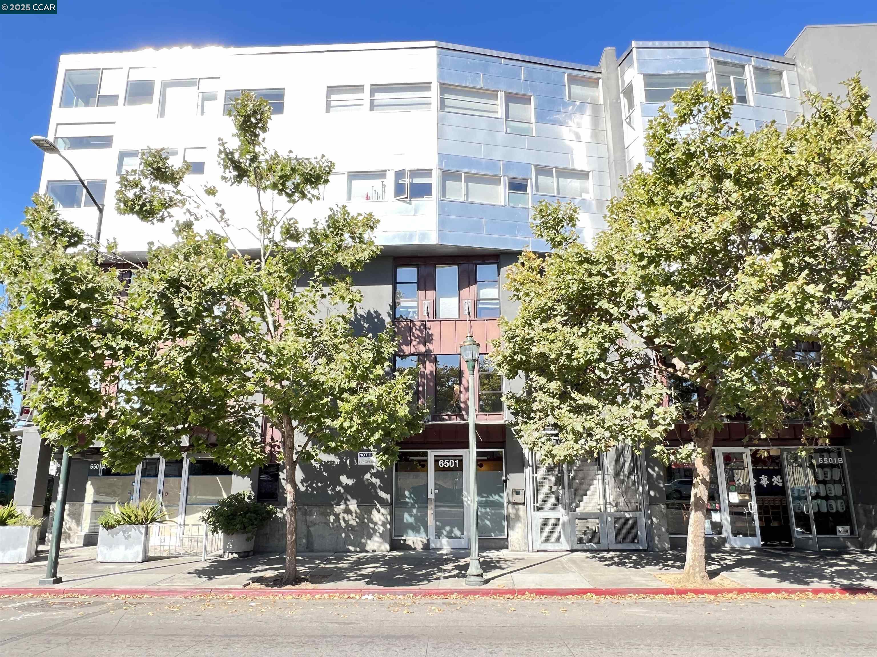 6501 San Pablo Avenue, Unit 203 Oakland, CA 94608 - Photo 2 of 20