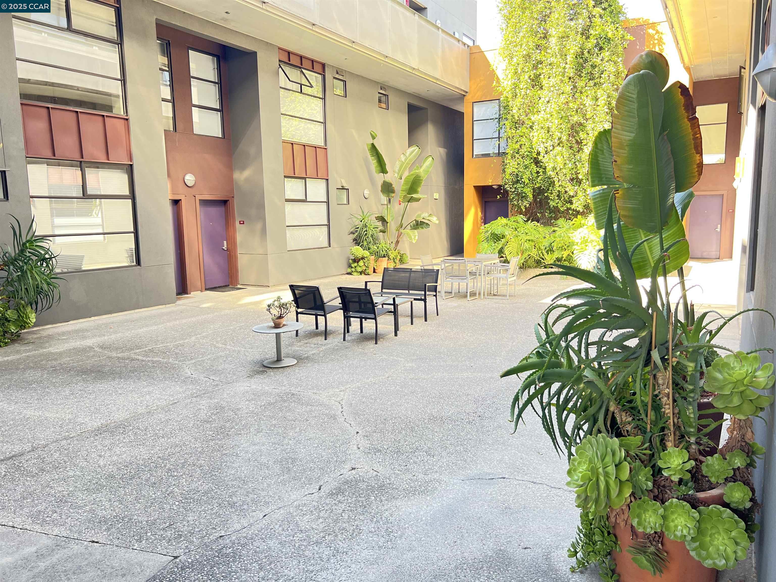 6501 San Pablo Avenue, Unit 203 Oakland, CA 94608 - Photo 8 of 20