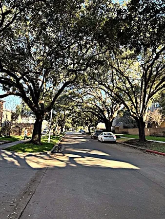 a view of outdoor space with trees