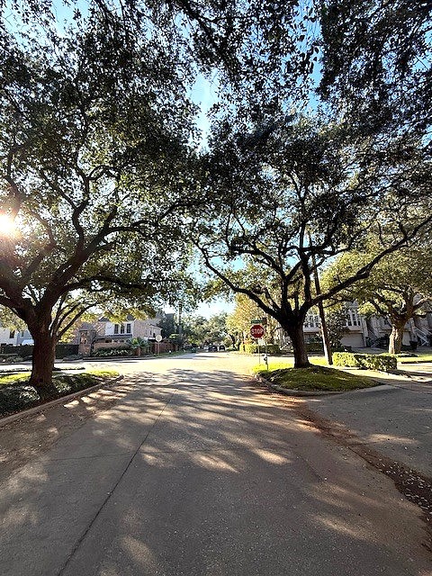 4243 Purdue Street, Unit C Houston, TX 77005 - Photo 39 of 48 a view of road with trees