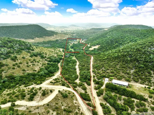 a view of a green yard with large trees