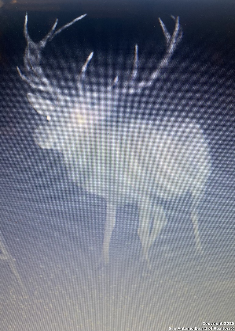3695 Rio Hondo Road Tarpley, TX 78883 - Photo 43 of 47 a view of small space