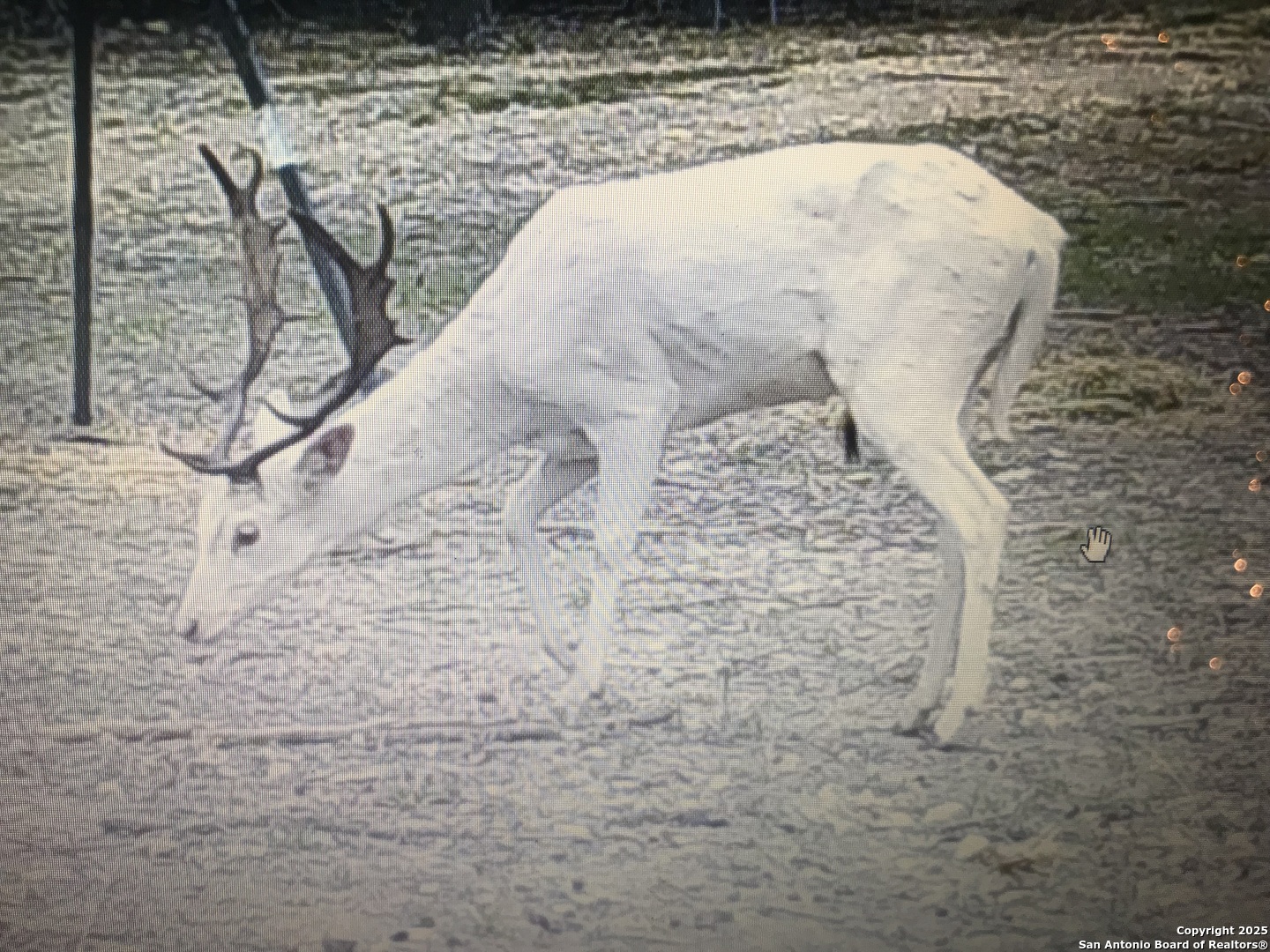 3695 Rio Hondo Road Tarpley, TX 78883 - Photo 47 of 47 a view of entryway