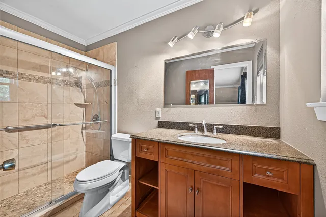 a view of a backyard with plants