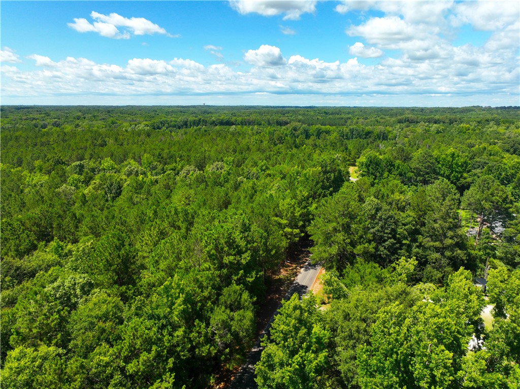 401 Coleman Road Clinton, SC 29325 - Photo 20 of 25