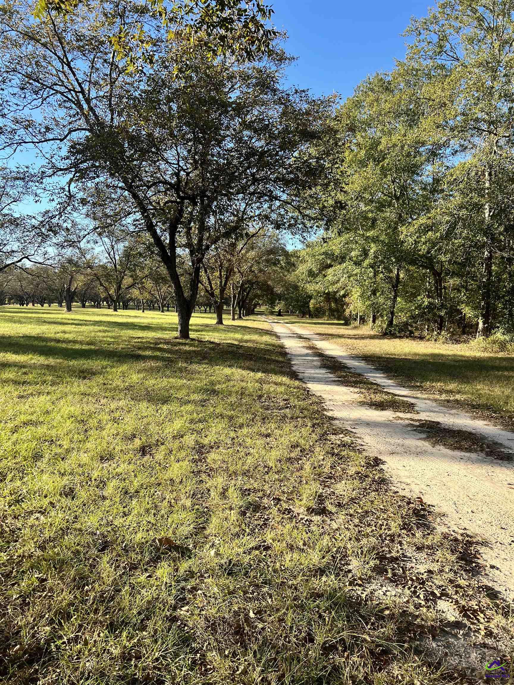 2382 Gallimore Mill Road Danville, GA 31017 - Photo 49 of 80