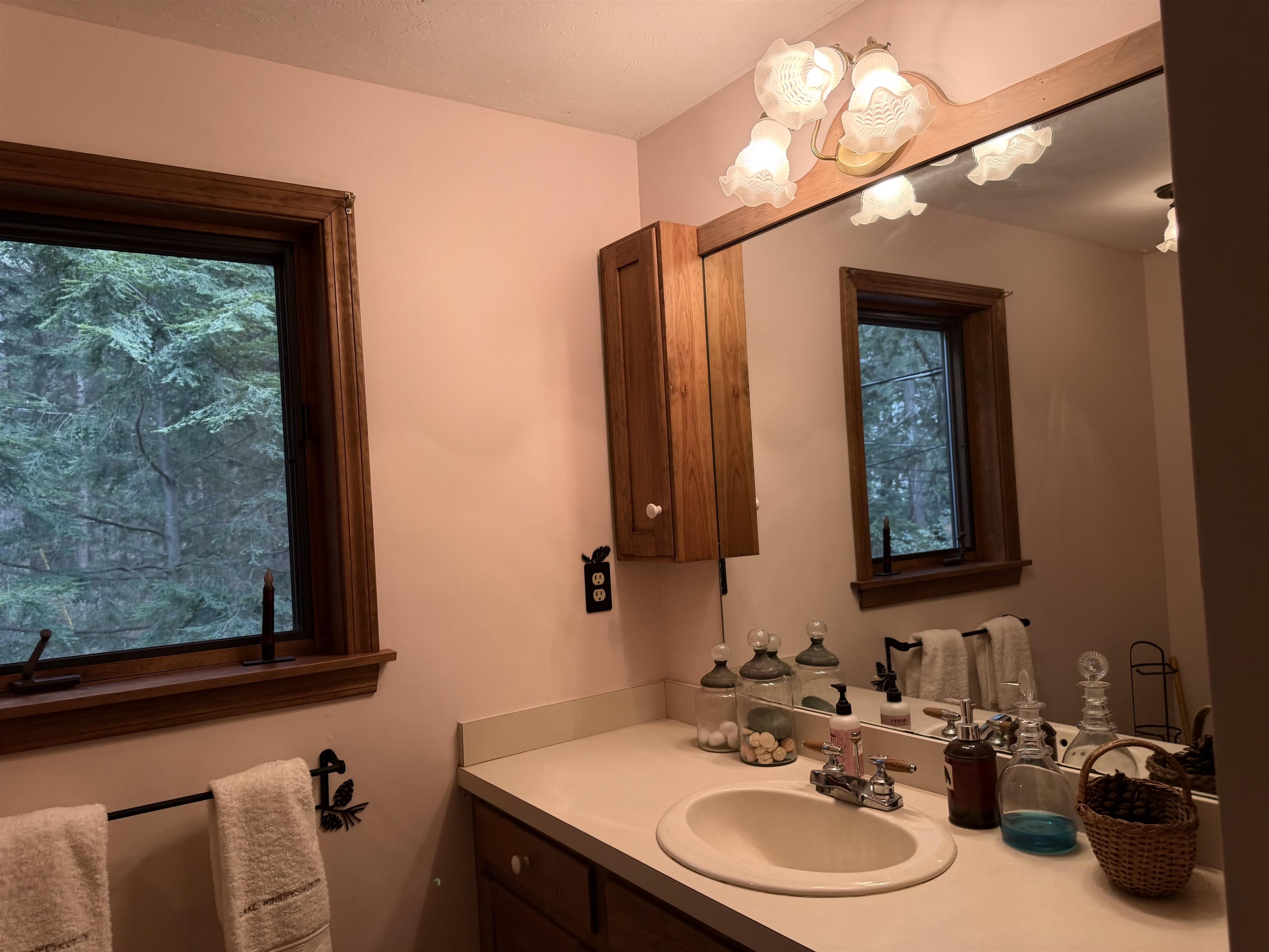12 Tall Pines Way Meredith, NH 03253 - Photo 37 of 44