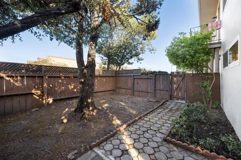 a view of a backyard with tree