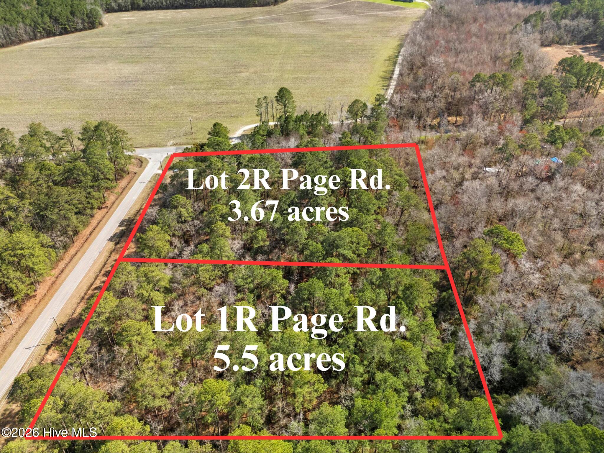 Lot 2 Page Road Burgaw, NC 28425 - Photo 2 of 12 Lot 1R Page Rd.-4