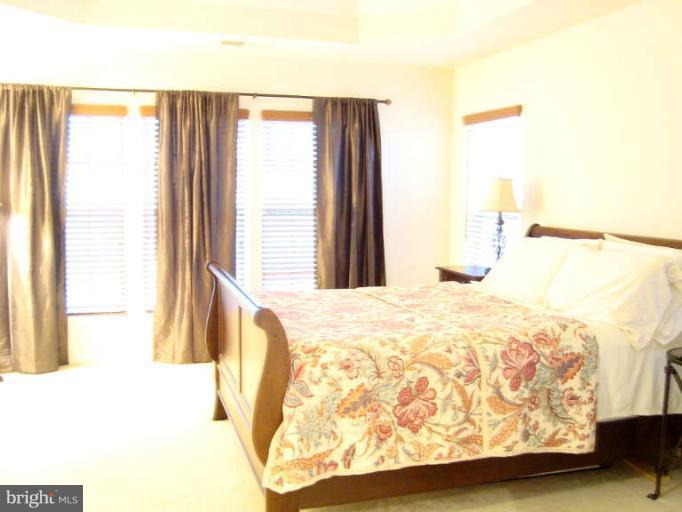 9137 Furey Road Lorton, VA 22079 - Photo 13 of 21 Light filled, master bedroom with tray ceiling