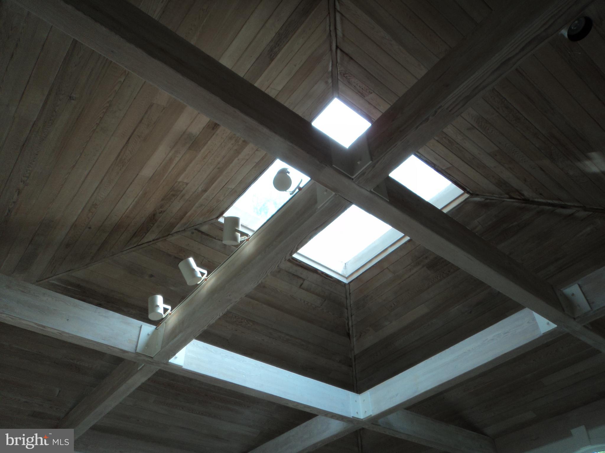 23452 Pine Point Road, Unit 23452 Bozman, MD 21612 - Photo 18 of 30 two story ceiling with skylight