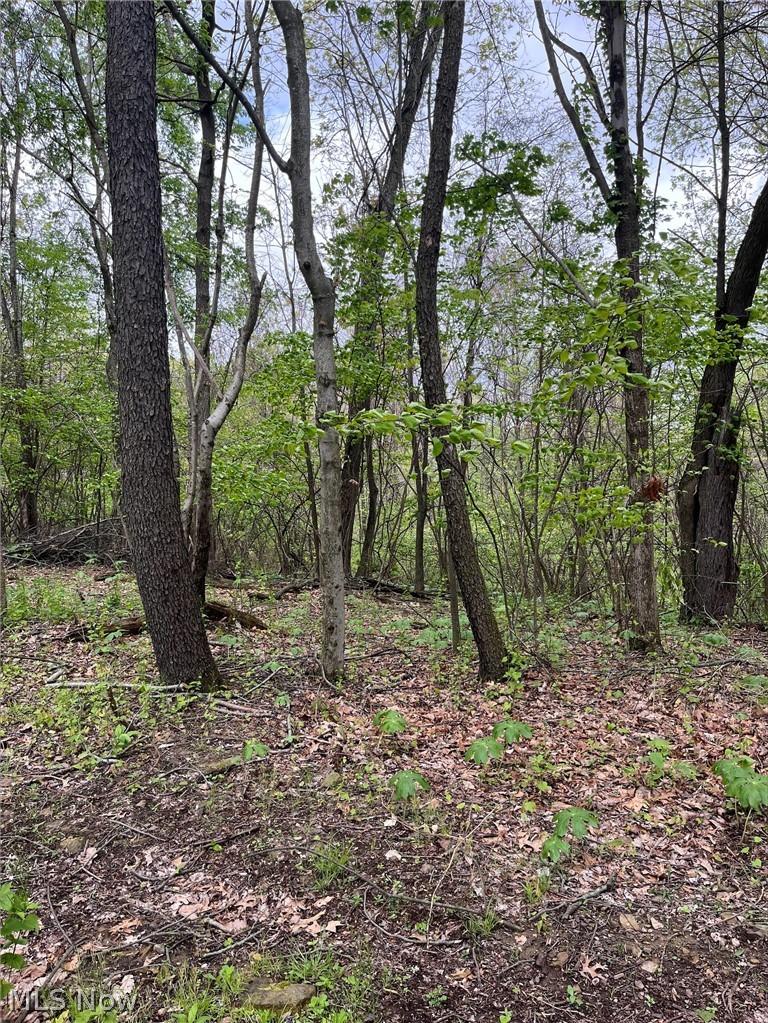 Sandy Ridge Road Tippecanoe, OH 44699 - Photo 4 of 21
