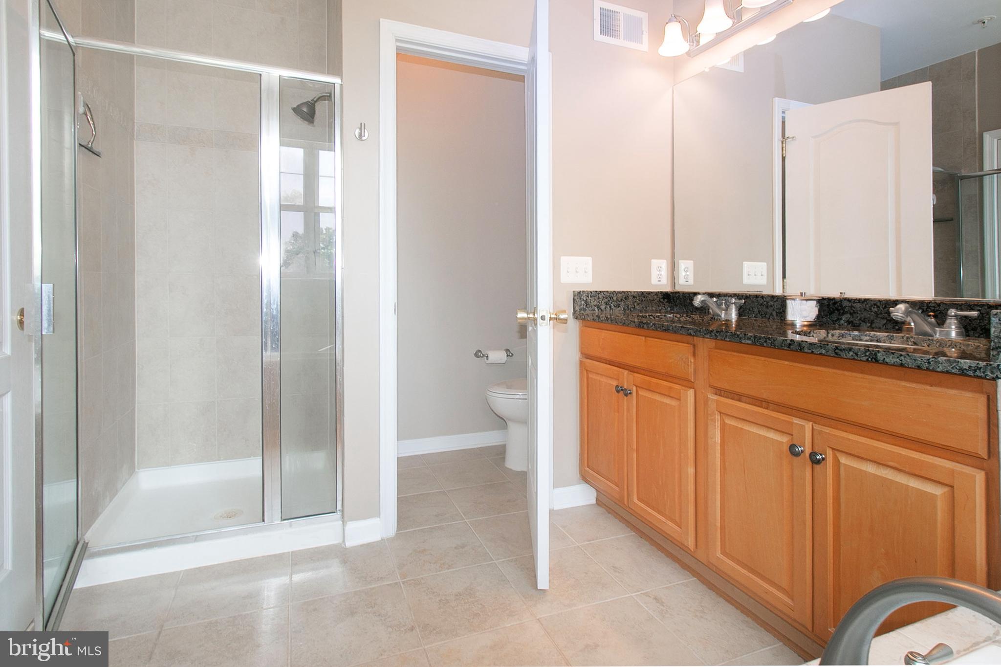 12426 Liberty Bridge Road Fairfax, VA 22033 - Photo 18 of 28 a spacious bathroom with a granite countertop sink a mirror and a bathtub