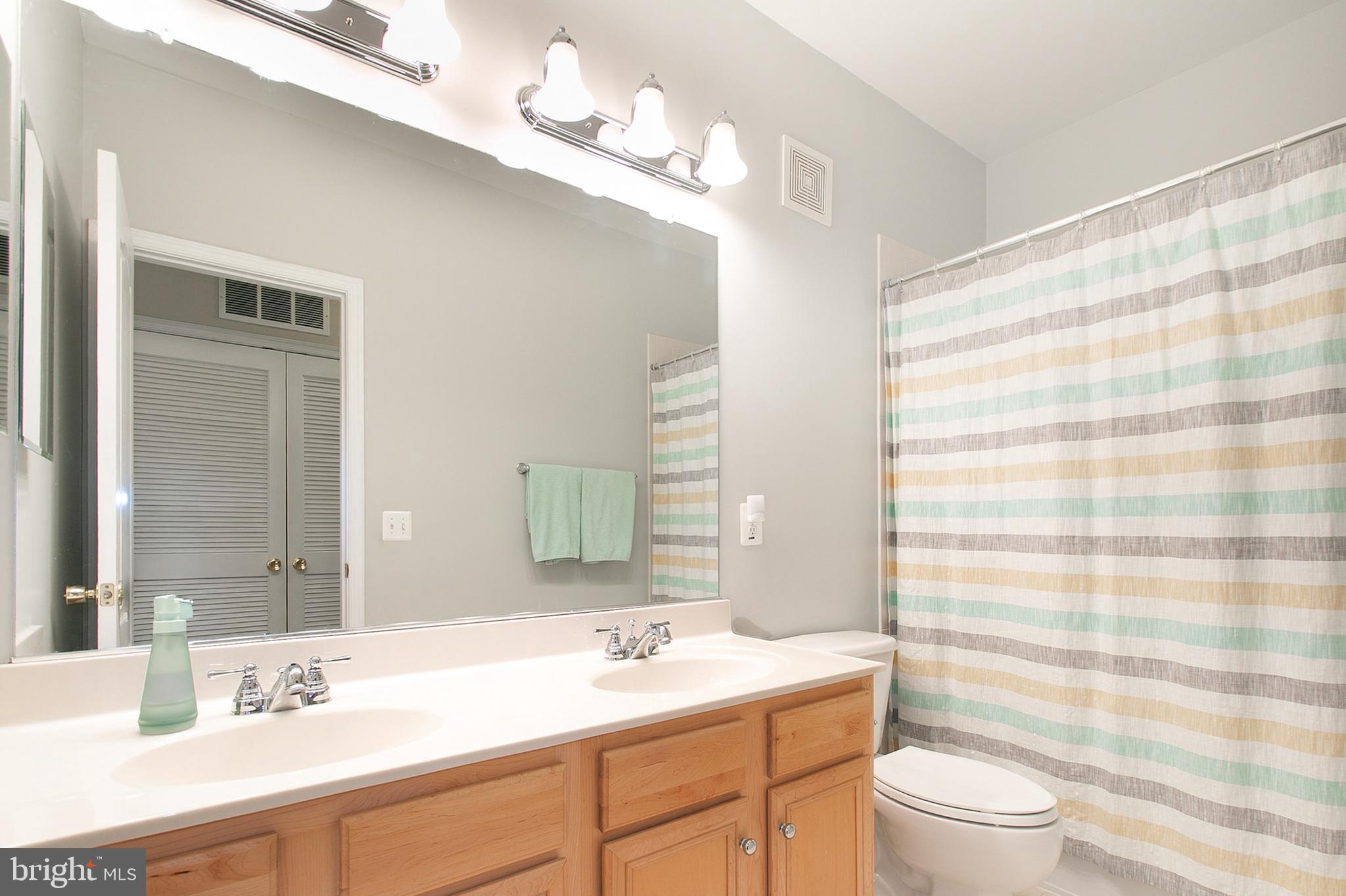 12426 Liberty Bridge Road Fairfax, VA 22033 - Photo 24 of 28 a bathroom with a sink a toilet a mirror and shower curtain