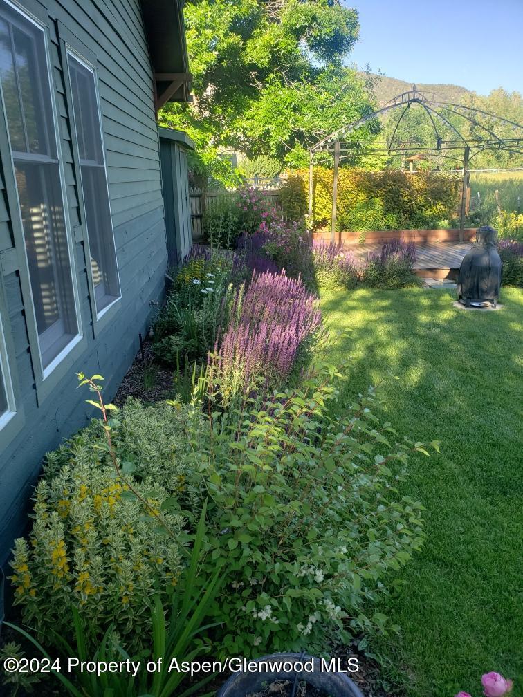 314 Sopris Circle Basalt, CO 81621 - Photo 27 of 36 a view of a backyard with plants