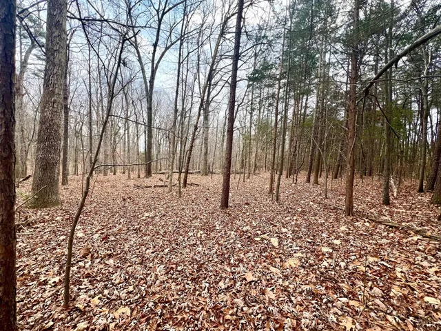 $1,000,000 | 6000 Wards Road, Rustburg, VA 24588