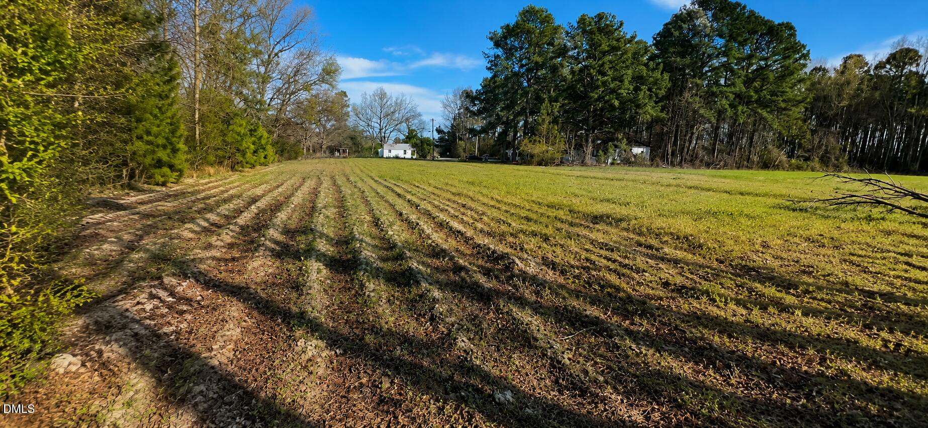 0 Dead End Road Enfield, NC 27823 - Photo 2 of 3 ChatGPT Image Jun 1, 2026, 08_33_48 PM