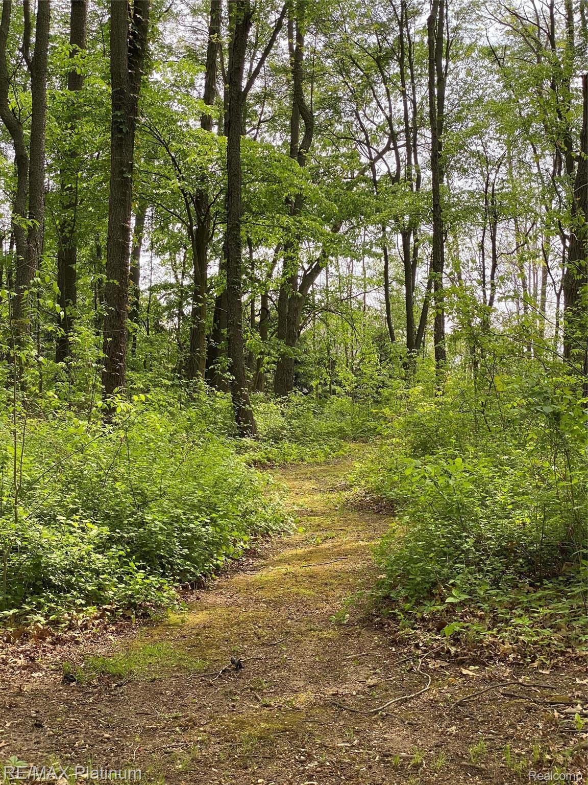 4750 Vines Road Howell, MI 48843 - Photo 32 of 35 Walking trails