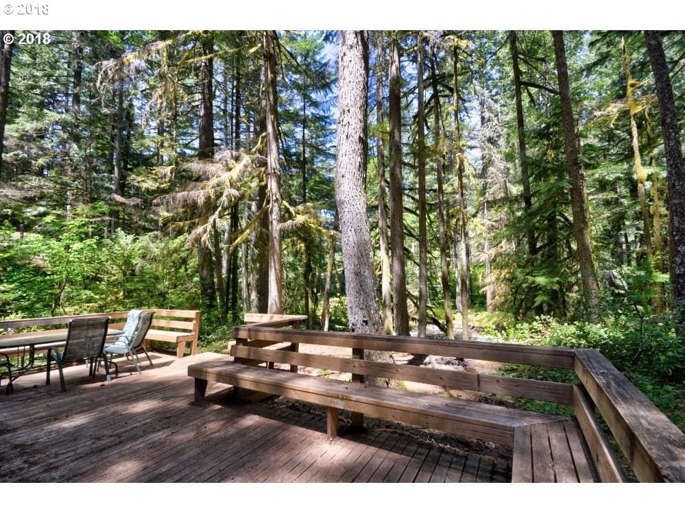 75215 East Road 28 A Rhododendron, OR 97049 - Photo 24 of 27 a view of swimming pool and trees