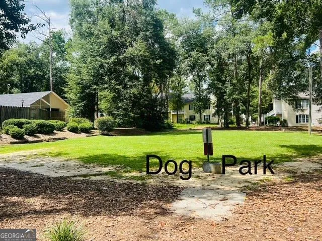 a view of a park with large trees