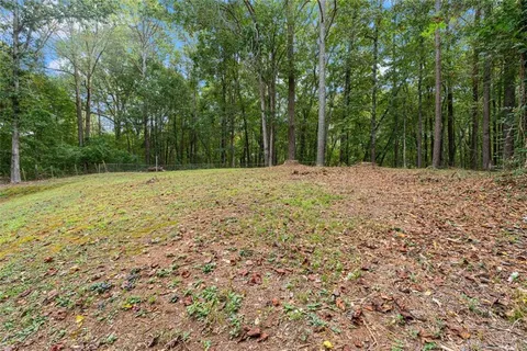 a view of a yard with trees