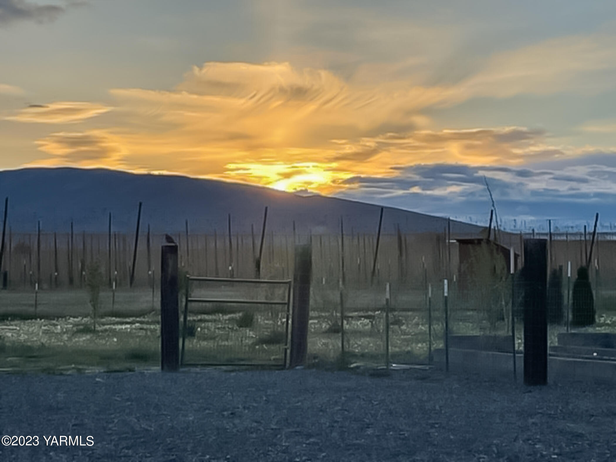 245 West Huntzinger Road Selah, WA 98942 - Photo 51 of 54 a view of a backyard
