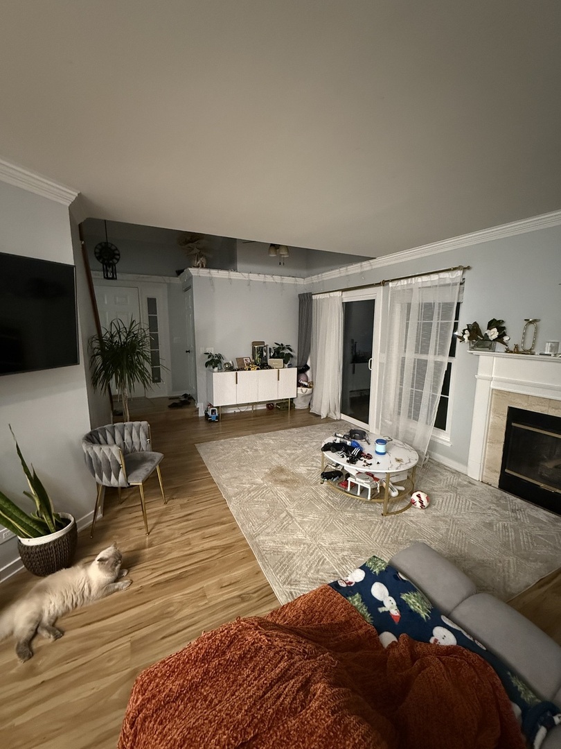 1063 Stillwater Road, Unit 1063 Elgin, IL 60120 - Photo 3 of 17 a living room with furniture and a fireplace
