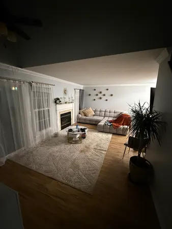 a living room with furniture and a fireplace with potted plants