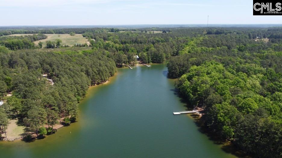 201 State Rd S-20-99 Blair, SC 29015 - Photo 19 of 61