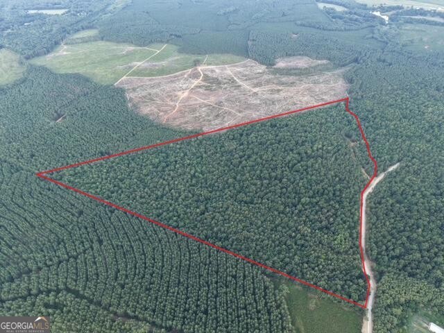 1 Bethesda Church Road Lexington, GA 30648 - Photo 3 of 87