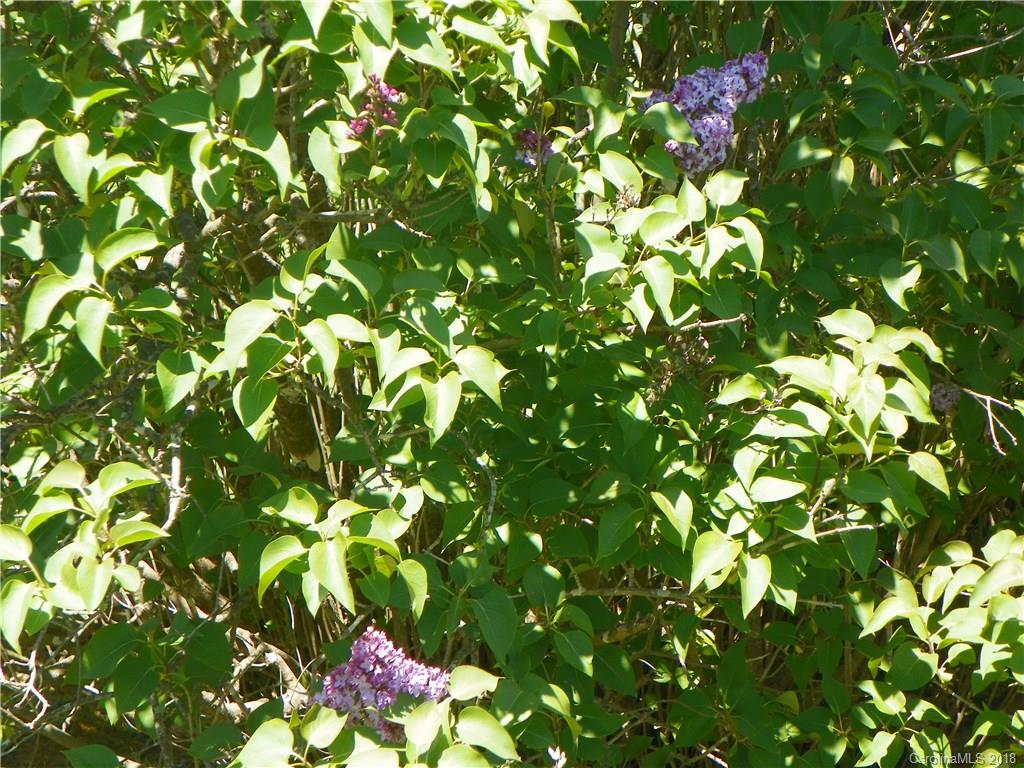 754 Jupiter Road Weaverville, NC 28787 - Photo 17 of 34 Gallery Image 17