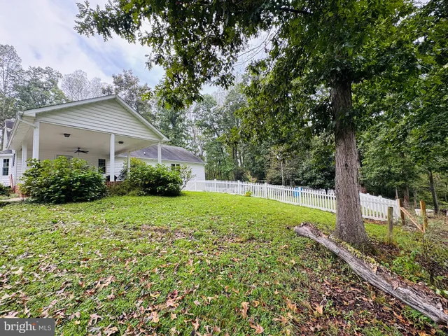 a view of a yard with a tree