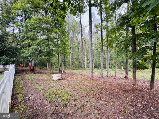 a view of a park with swings